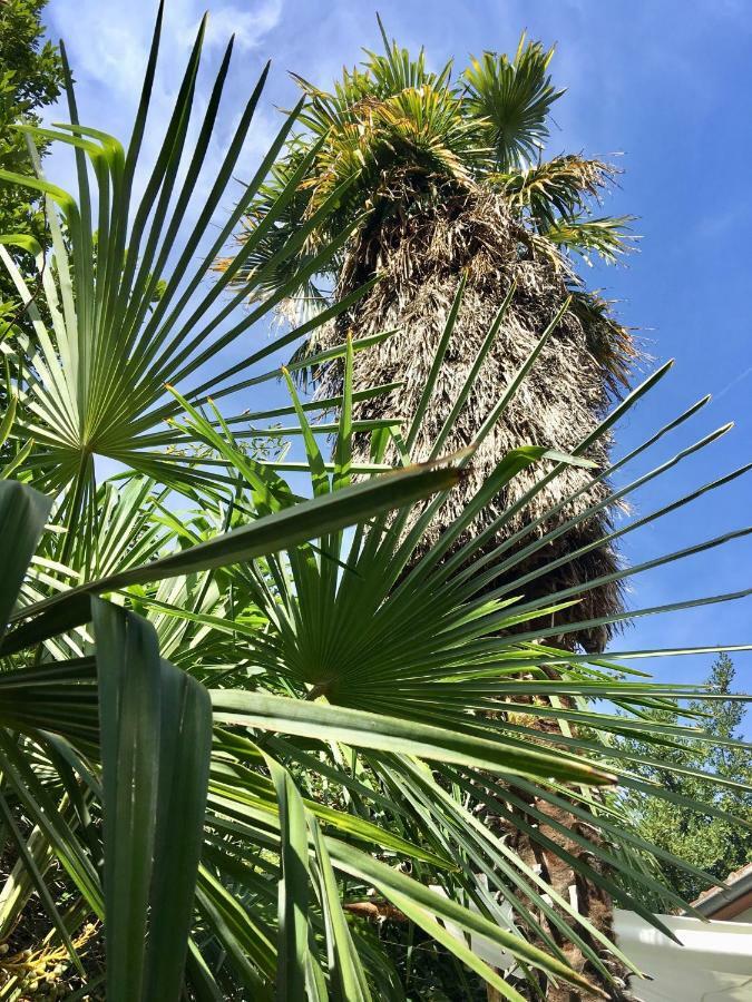 Palmera Mostar Exterior photo